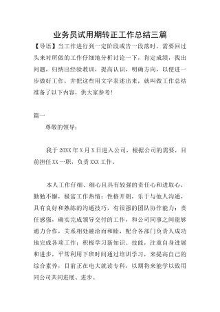 业务员试用期转正工作总结三篇