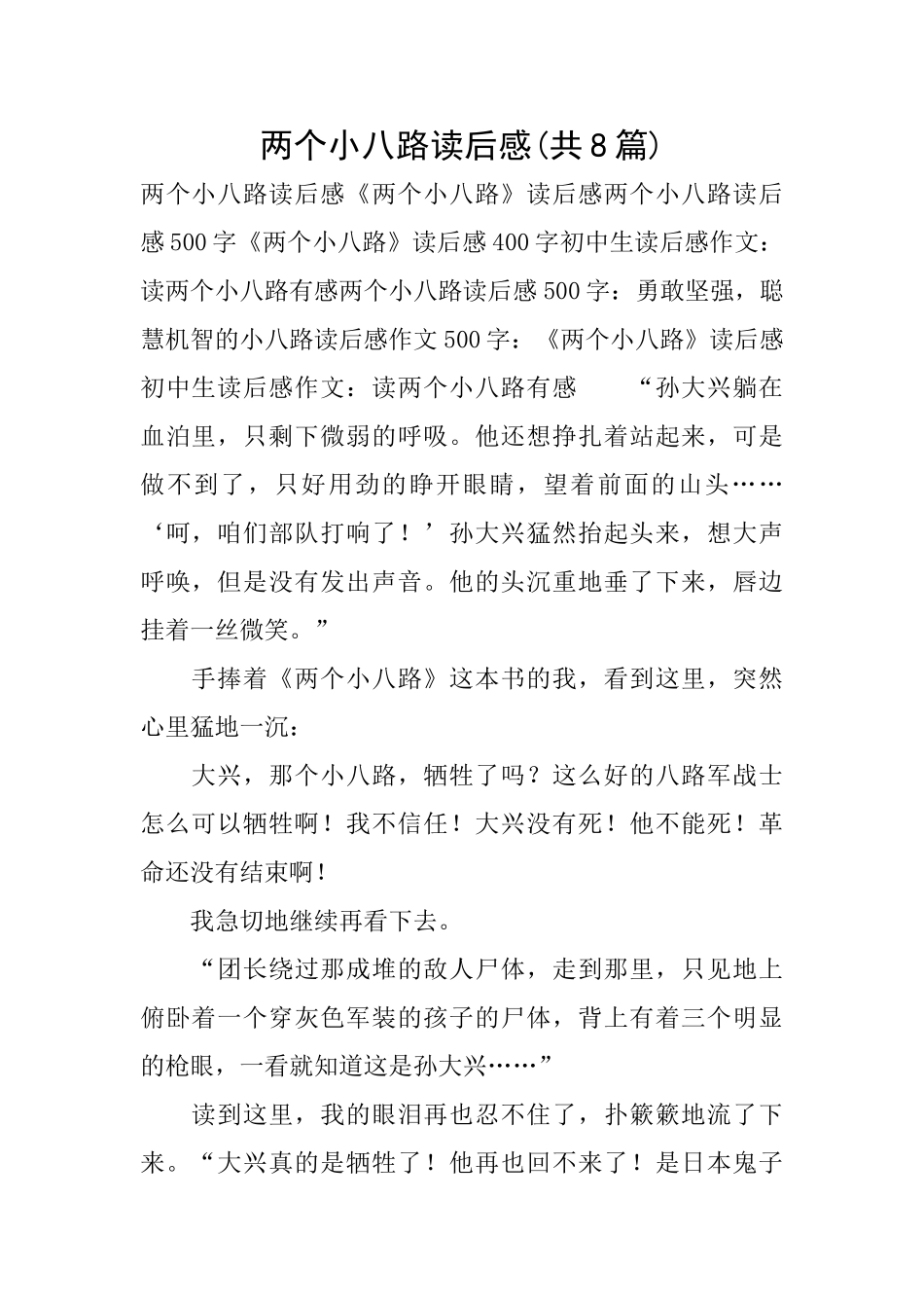 两个小八路读后感_第1页