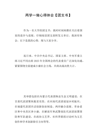 两学一做心得体会【团支书】