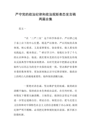 严守党的政治纪律和政治规矩表态发言稿两篇合集