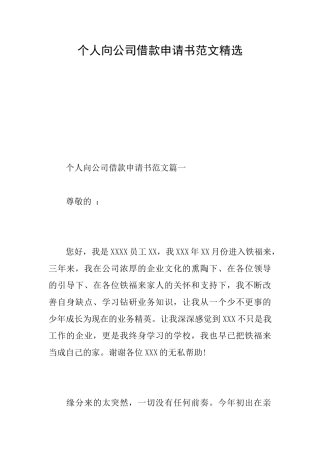 个人向公司借款申请书范文精选