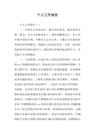 个人工作报告