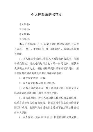 个人还款承诺书范文