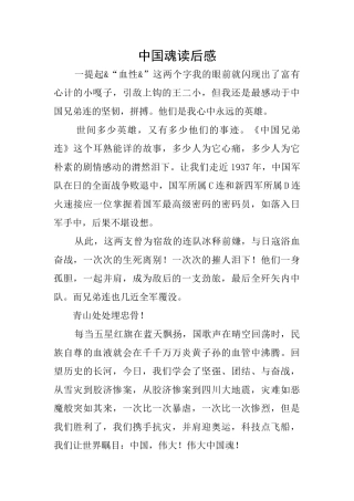 中国魂读后感