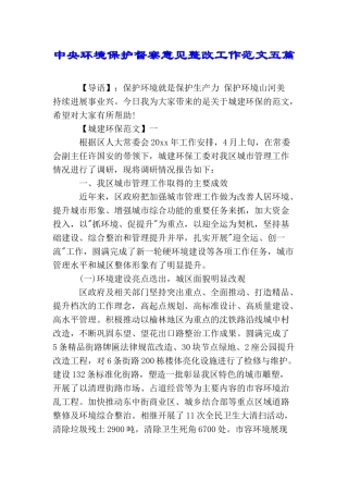 中央环境保护督察意见整改工作范文五篇