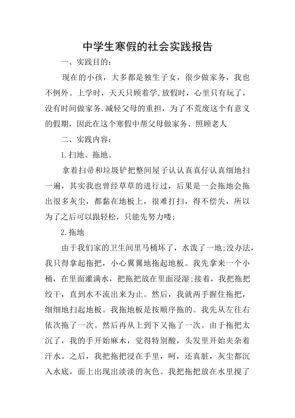 中学生寒假的社会实践报告_第1页