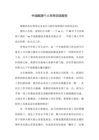 中油能源个人年终总结报告