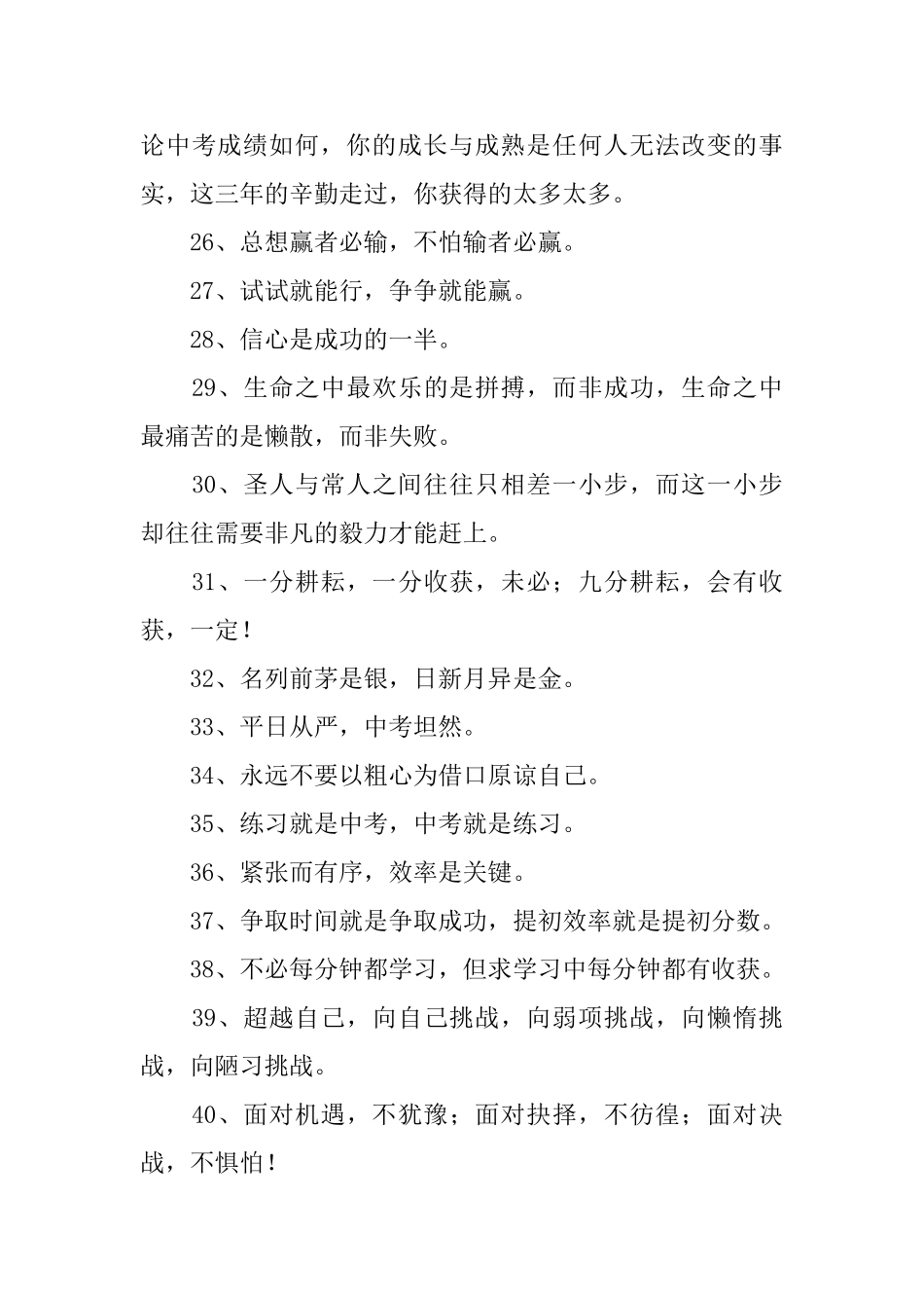 中考30天冲刺标语_第3页