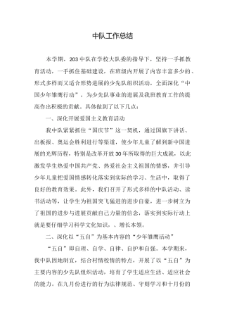 中队工作总结