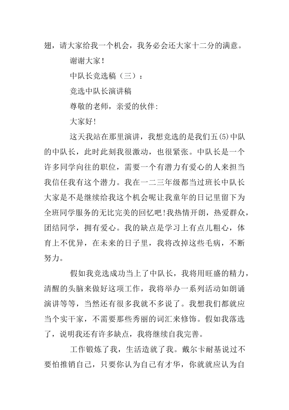 中队长竞选稿20篇_第3页