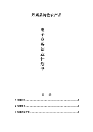 丹寨县农村电子商务创业计划书