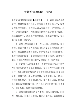 主管给试用期员工评语