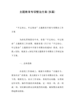 主题教育专项整治方案