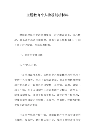 主题教育个人检视剖析材料3