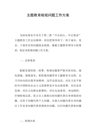主题教育检视问题工作方案3