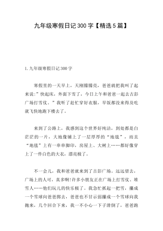 九年级寒假日记300字