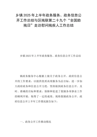乡镇2025年上半年政务服务、政务信息公开工作总结与区残联第二十九个“全国助残日”走访慰问残疾人工作总结
