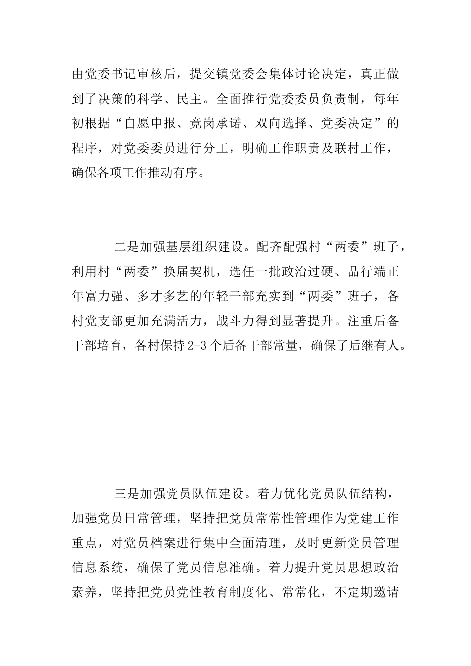 乡镇2025年党建工作总结_第2页