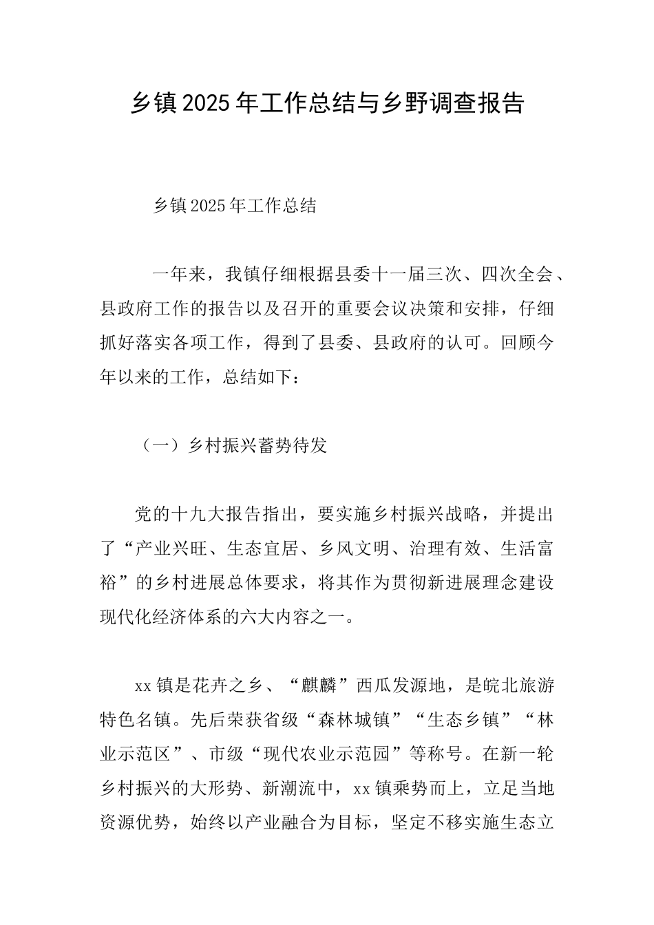 乡镇2025年工作总结与乡野调查报告_第1页