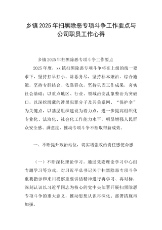乡镇2025年扫黑除恶专项斗争工作要点与公司职员工作心得