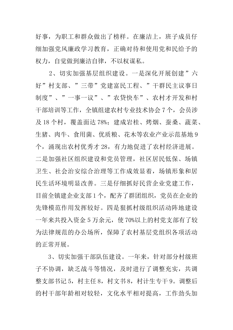 乡镇党委政府工作总结_第3页