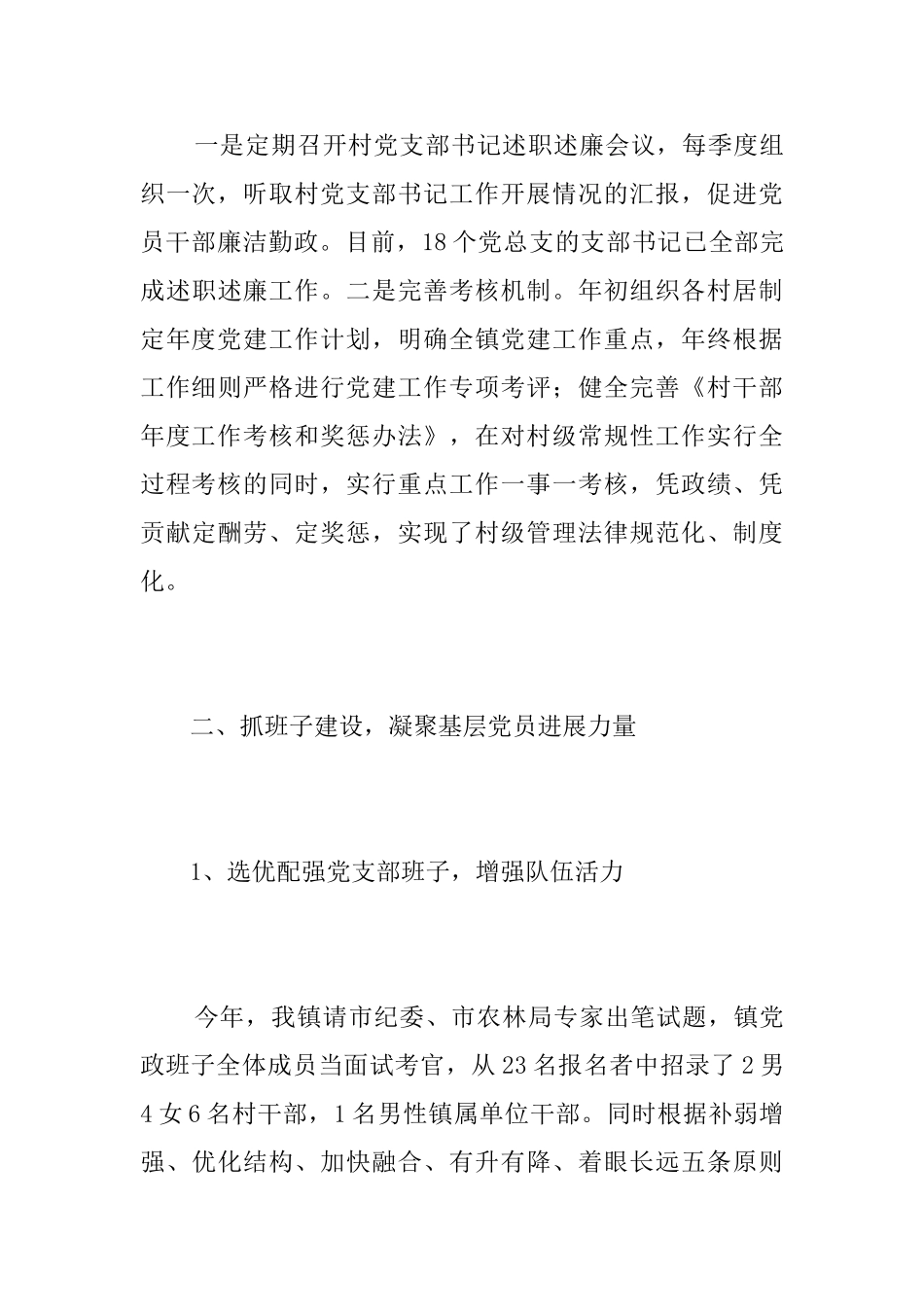 乡镇党建工作总结模板_第3页