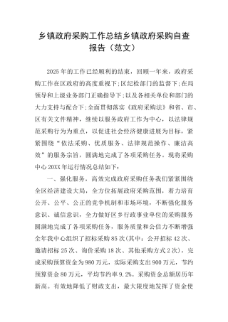 乡镇政府采购工作总结乡镇政府采购自查报告