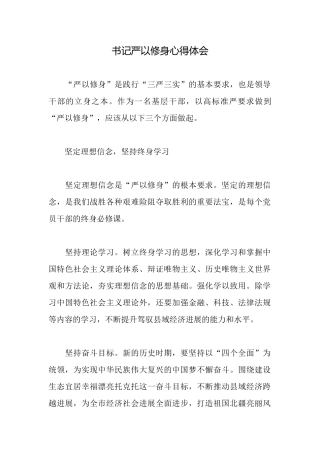 书记严以修身心得体会