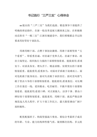 书记践行“三严三实”心得体会