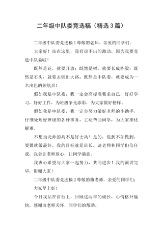 二年级中队委竞选稿