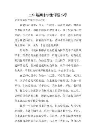 二年级期末学生评语小学