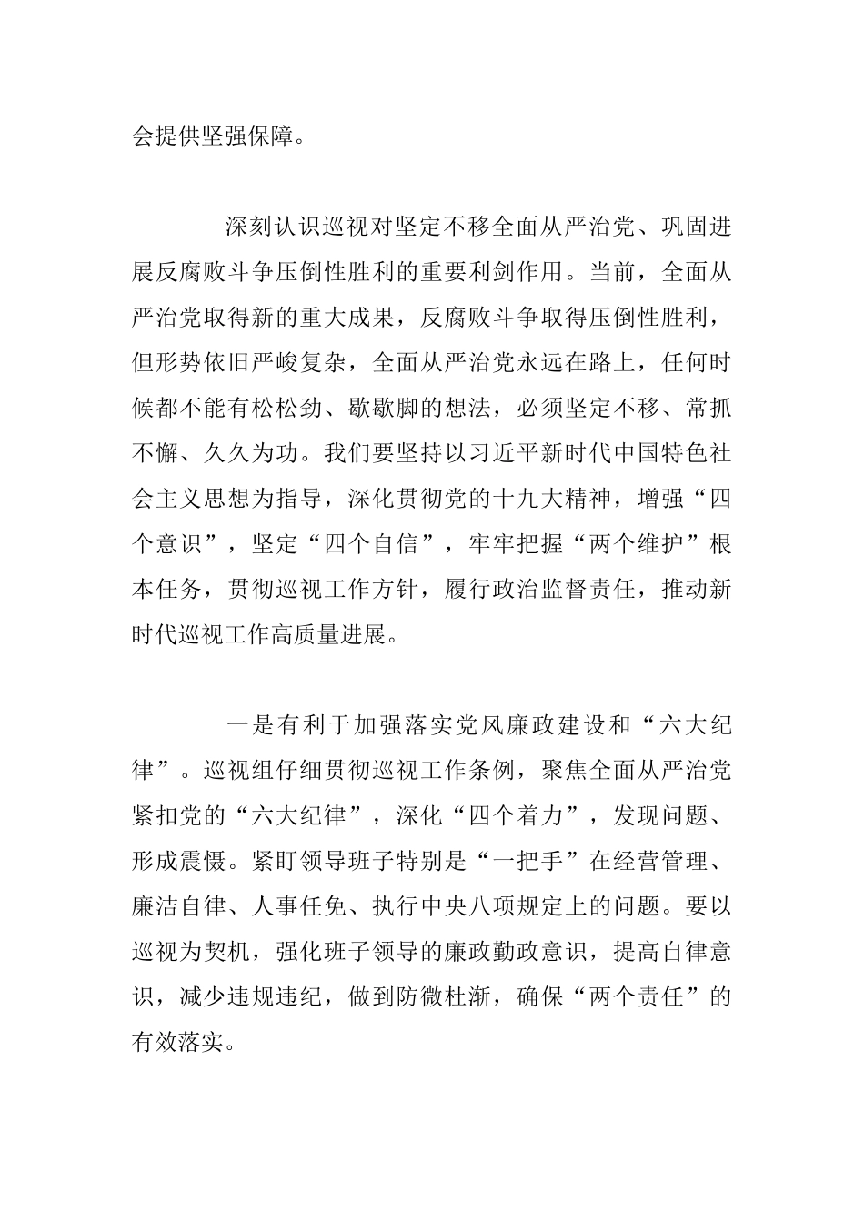 二级公司在巡视动员会上的讲话范文_第2页