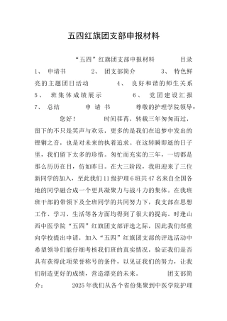 五四红旗团支部申报材料