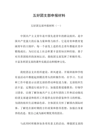 五好团支部申报材料