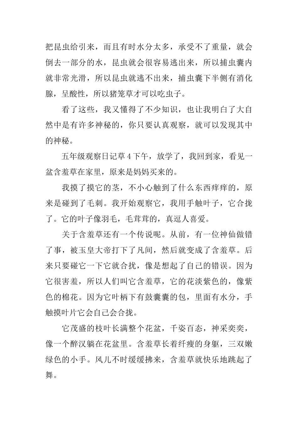 五年级观察日记草_第3页