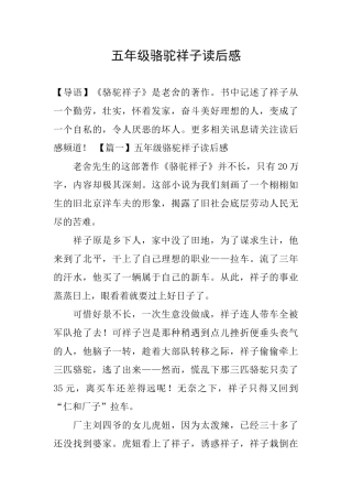 五年级骆驼祥子读后感