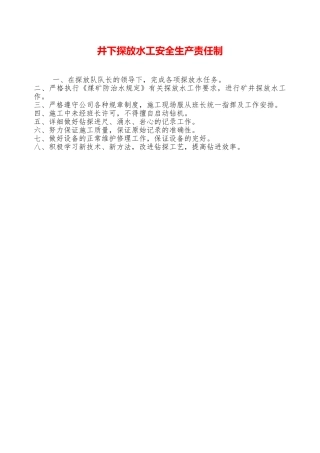 井下探放水工安全生产责任制——精品资料