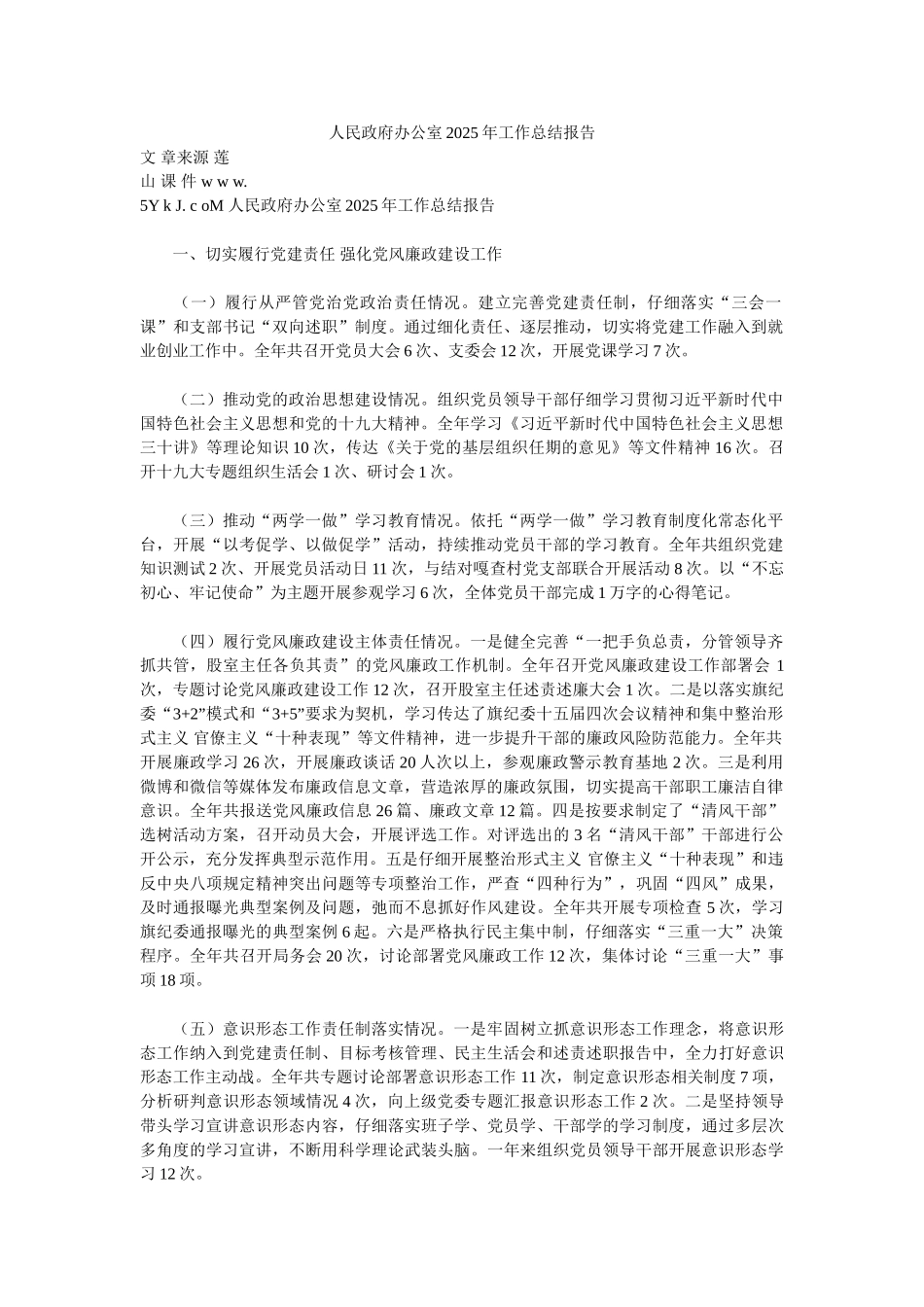 人民政府办公室2025年工作总结报告_第1页