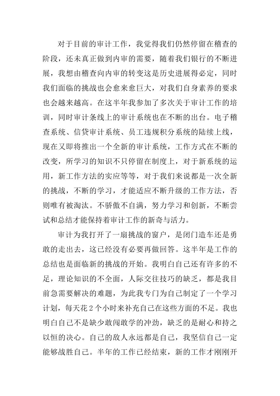 从事审计的个人年终工作总结_第2页