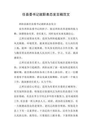 任县委书记就职表态发言稿范文
