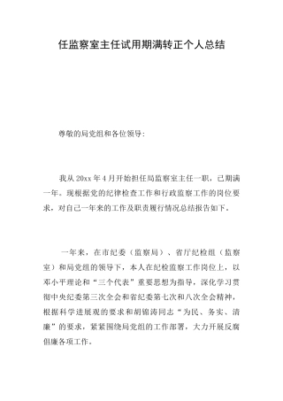 任监察室主任试用期满转正个人总结