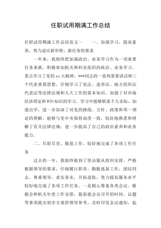 任职试用期满工作总结