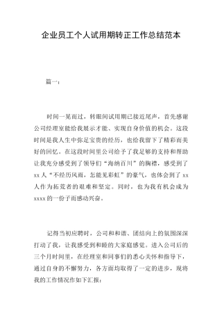企业员工个人试用期转正工作总结范本