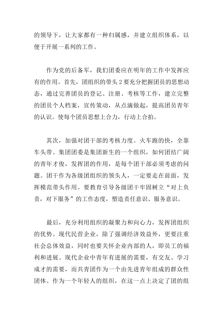 企业团支部2025工作计划_第2页