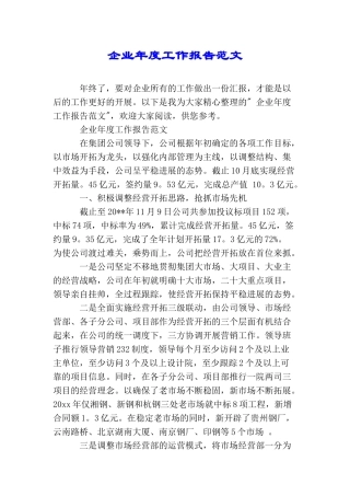 企业年度工作报告范文