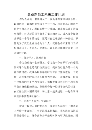 企业新员工未来工作计划