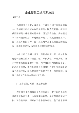 企业新员工试用期总结