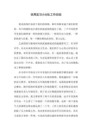 优秀实习小分队工作总结