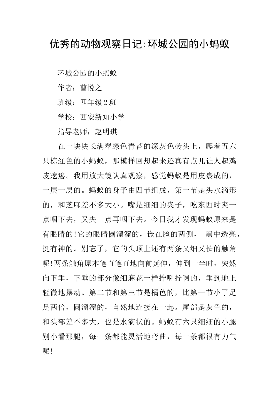 优秀的动物观察日记环城公园的小蚂蚁_第1页