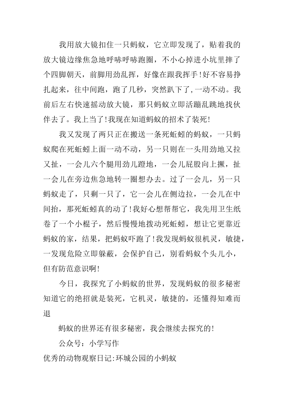 优秀的动物观察日记环城公园的小蚂蚁_第2页